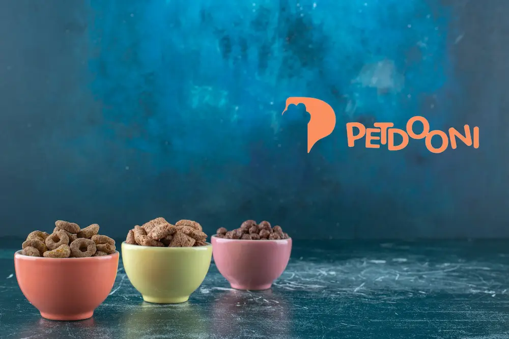 راهنمای تغذیه گربه باردار | غذاهای مفید برای گربه باردار در پت‌شاپ آنلاین پتدونی 1404